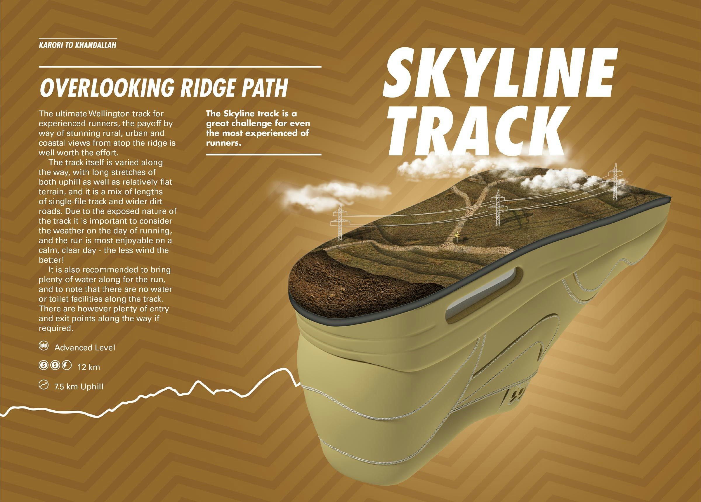Overlooking ridge path: Skyline track